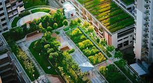 Home Gardening and Urban Farming: Connecting with Nature in Urban Spaces.