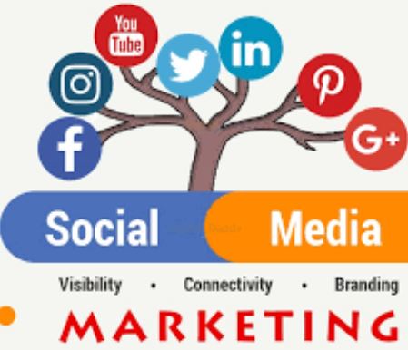 Elevate Your Brand: Choosing the Best Social Media Marketing Agency